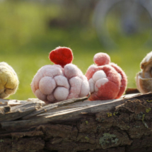 Felted boxes