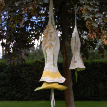 calyx in the tree
