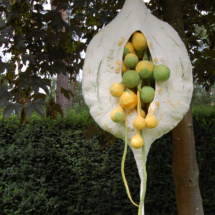 seedpod-garden-6