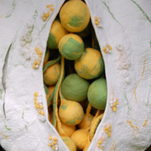 Detail of the seedpod