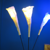 Ledbits